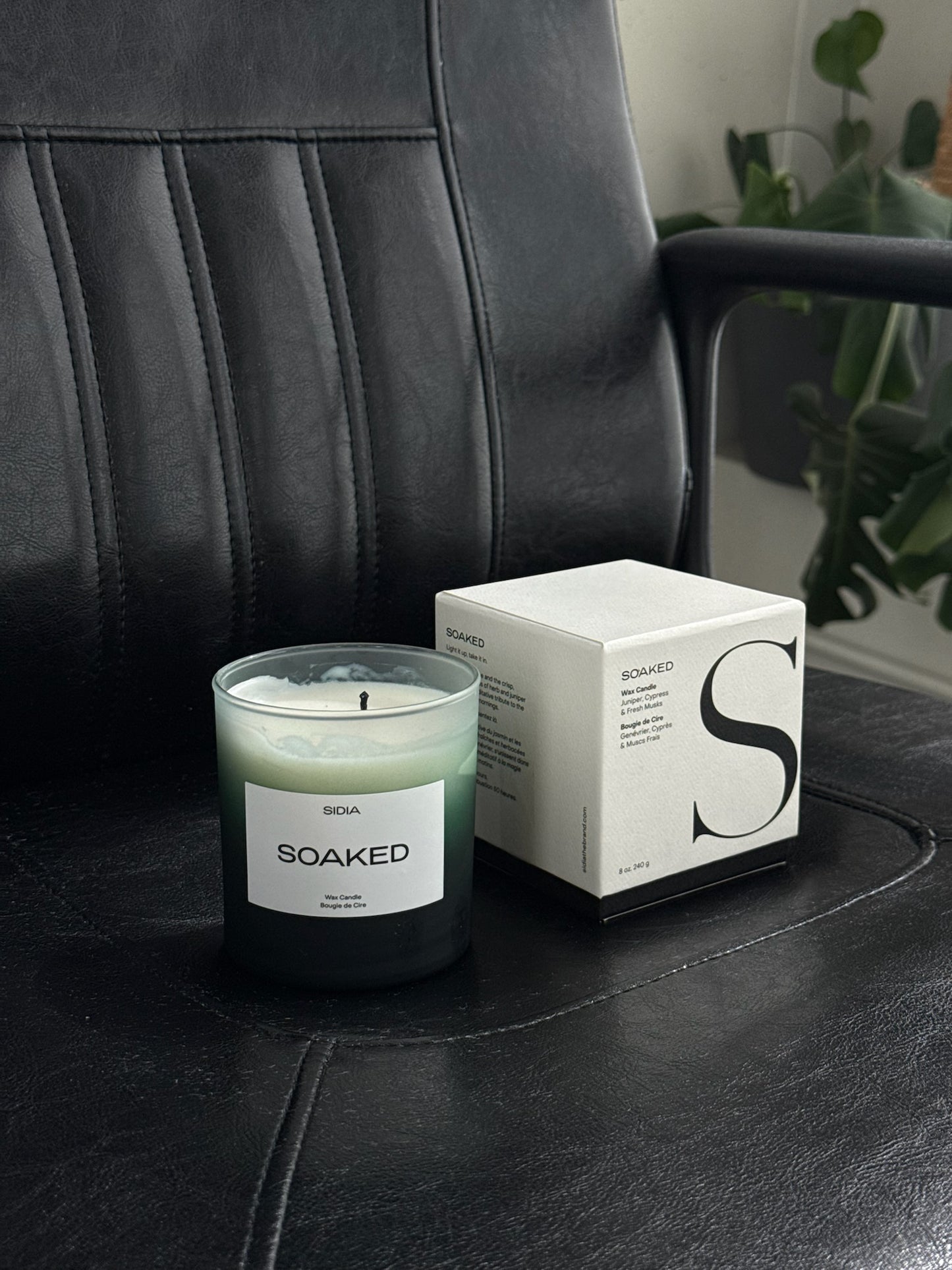 Sidia | Soaked Wax Candle